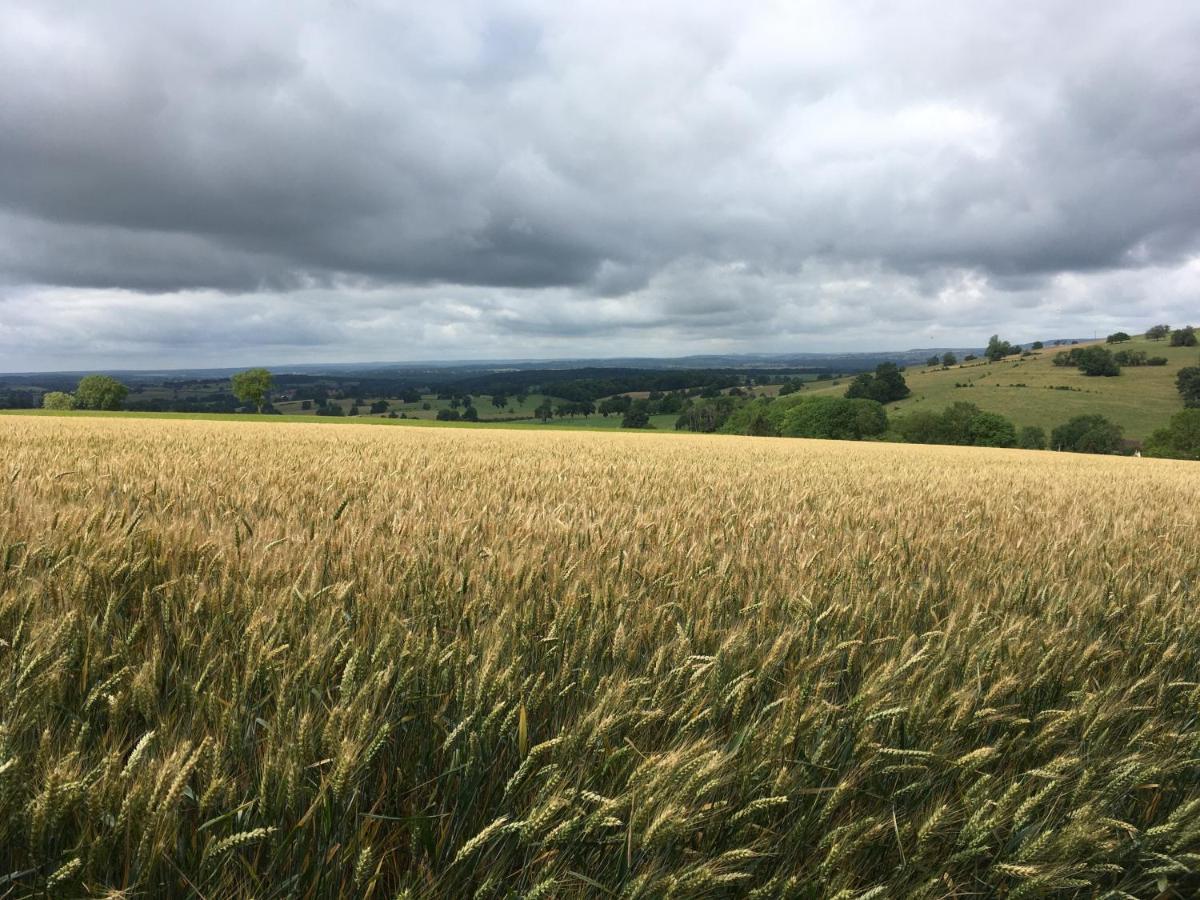 Au Cheval Bleu Fontenay-près-Vézelay